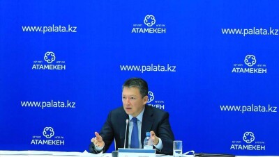 Кулибаев: Налоговые отчисления от МСБ должны вести к развитию самого бизнеса