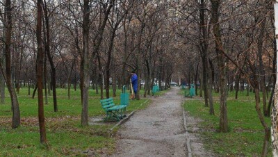 Байбек поручил сохранить деревья при реконструкции парка и сквера в Алматы