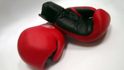 Лигу чемпионов создадут в профессиональном боксе 