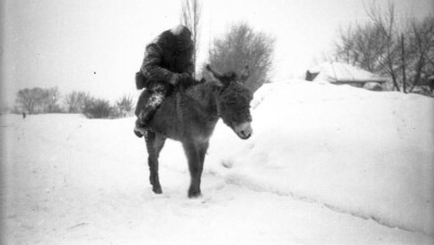 Смотреть всем! Ишак - лучший друг алкоголика!