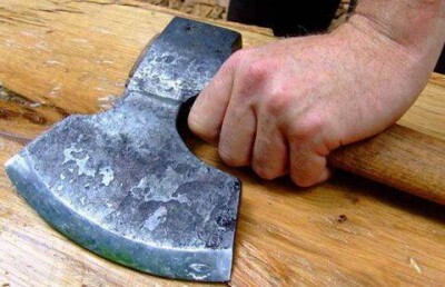 В Павлодаре живодёр отрубил голову своей собаке 