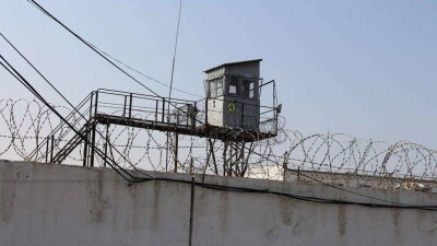 Проверка показала, что ни одна колония в РК не соответствует международным стандартам