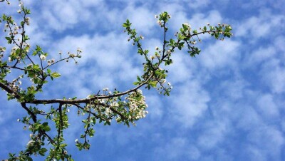 Погода на 4 мая: лишь на западе и юге Казахстана сохранится погода без осадков