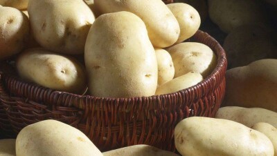 Аграрии Казахстана ждут резкого роста цен на картофель