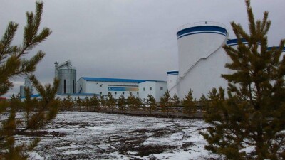 Первые 2000 тонн растительного масла экспортировали из СКО в Китай