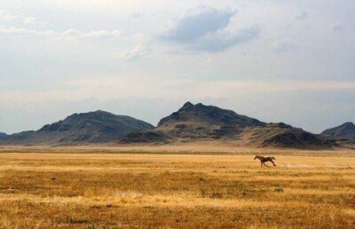 Назарбаев предложил придумать страновой бренд для Казахстана
