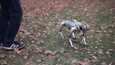 В США создали роботов-гепардов, которые будут работать в зонах стихийных бедствий