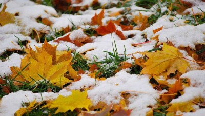 Гололедица и метель ожидаются в центре и на севере Казахстана 2 ноября