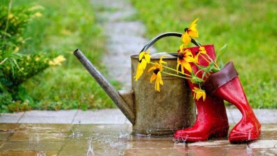 Прогноз погоды на 29 июня: на большей части территории Казахстана пройдут дожди с грозами