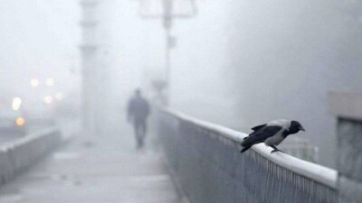 Прогноз погоды на 18 марта: на большей части Казахстана ожидается ветер и туман