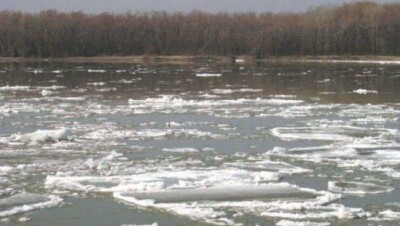 В Кызылординской области объявили ЧП: Сырдарья пробила дамбу