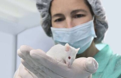 Учёные считают, что смогут увеличить длительность жизни людей минимум на треть