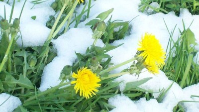 Снег и ночные заморозки ожидаются в некоторых областях Казахстана 7 мая