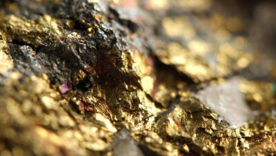 Американский инвестфонд вошёл в золотодобывающий проект RG Gold