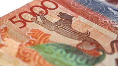 200 отбасыға – 25 мың теңгеден. Assyltas қорының көмегін кімдер алады?