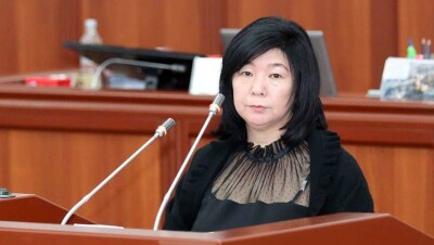 Замминистра труда КР объяснила своё поведение на борту самолёта "Эйр Астаны"