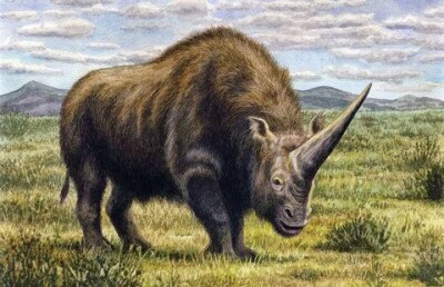 В Павлодарской области нашли останки "единорогов"