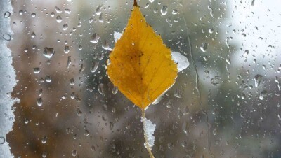 Прогноз погоды на 12 ноября: на северо-западе и востоке Казахстана пройдут дожди и снег