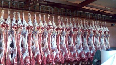 Иранцы готовы построить мясокомбинат в Казахстане и экспортировать мясо
