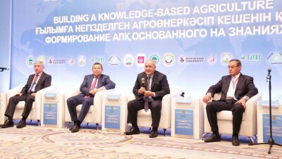 Шукеев: Только 8% результатов научных разработок внедряется в производство