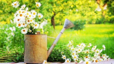 Прогноз погоды на 6 июля: на большей части территории Казахстана будет без осадков