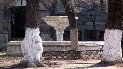За брызгами алмазных струй: краткая история алма-атинских фонтанов