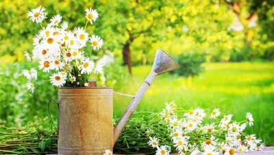 Прогноз погоды на 10 августа: лишь на юге и западе Казахстана будет без осадков