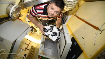 Человеческие ткани впервые напечатал биопринтер на МКС