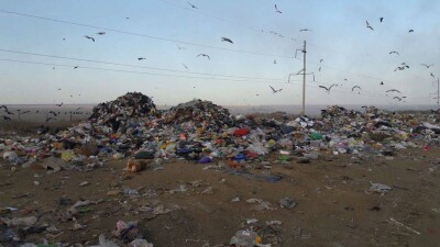 В Уральске намерены сжигать нефтеотходы в трёх километрах от населённого пункта