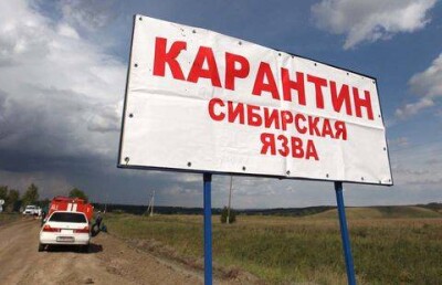 Погибший от сибирской язвы карагандинец несколько дней не мог попасть в больницу