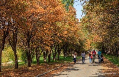 Ботанический сад, зоопарк и роща Баума в Алматы под угрозой захвата - общественники