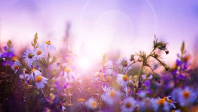 Прогноз погоды на 27 апреля: на юге Казахстана ожидается до 34 градусов жары