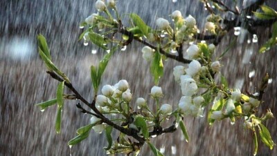 Дождь, гроза и град ожидаются на юге Казахстана 15 апреля