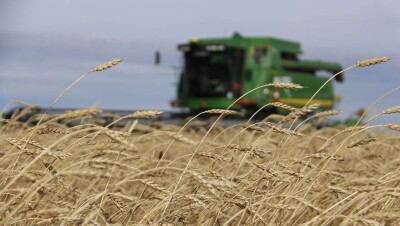 Кто отдаст многомиллиардные долги агрохолдингов, рассказали в МСХ