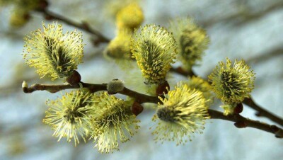 Прогноз погоды на 13 апреля: на юге жарко, на севере ещё морозы