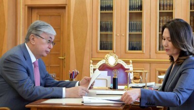 Токаев поручил Жаилгановой разработать концепцию развития госуправления