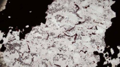 Жизнь на земле зародилась на полмиллиарда лет раньше, чем думали учёные