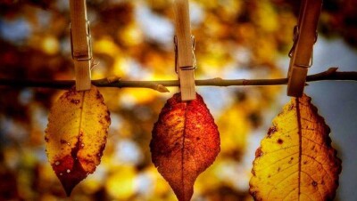 Погоду без осадков на большей части страны обещают синоптики на 15 сентября