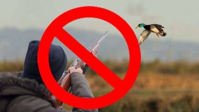 В Казахстане ввели запрет на весеннюю охоту