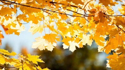 О погоде в Казахстане в пятницу, 19 октября, рассказали синоптики