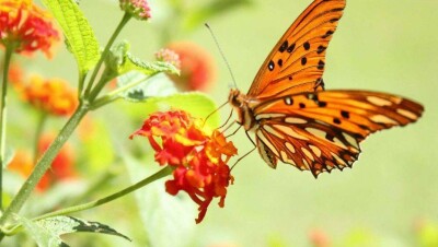 Летняя погода установилась в Казахстане, на юге страны – до 38 градусов жары