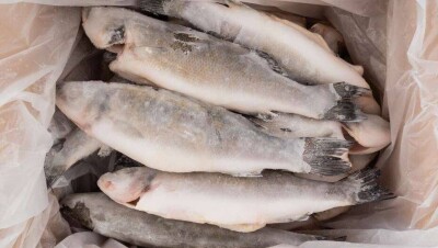 В Ухане начали расследование после обнаружения коронавируса на упаковках импортных продуктов