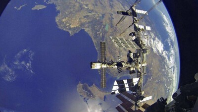 Российские космонавты вырастят на МКС болотную траву