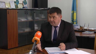 В Павлодаре арестовали главу областного управления сельского хозяйства