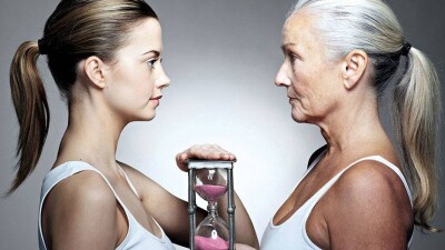 Учёные успешно испытали лекарство от старения