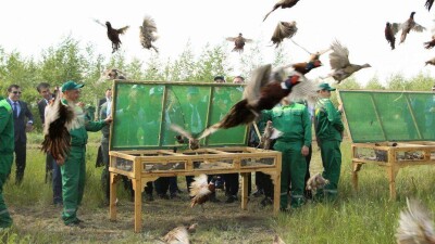 Назарбаев осмотрел зелёный пояс вокруг Астаны