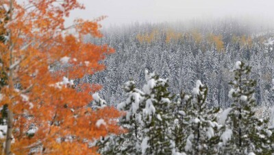 Синоптики прогнозируют осадки на большей части страны 17 октября