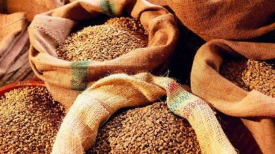 В СКО главу филиала "Продкорпорации" подозревают в хищении зерна на 400 млн тенге 