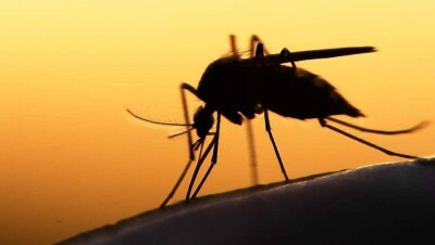 В Атырау у нигерийца обнаружили малярию