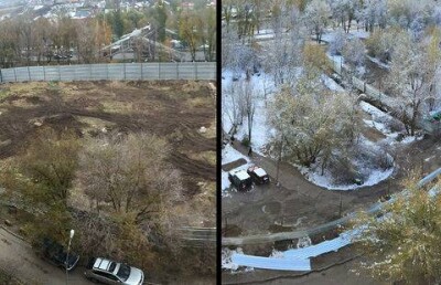 В Алматы срубили около сотни деревьев, чтобы построить АЗС